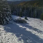 Berloga Mikuliczyn
