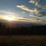 Berloga *