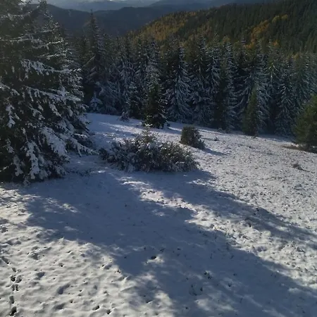 Berloga Mykulychyn