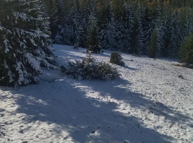 Berloga Mykulychyn